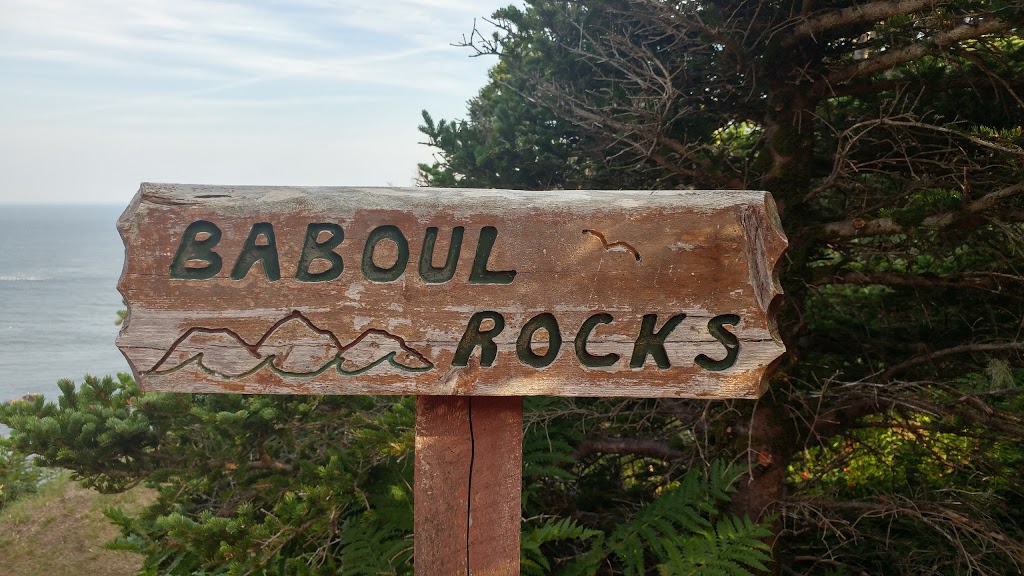 Mickeleens Path | Bears Cove Rd, Goulds, NL A1S 1R3, Canada