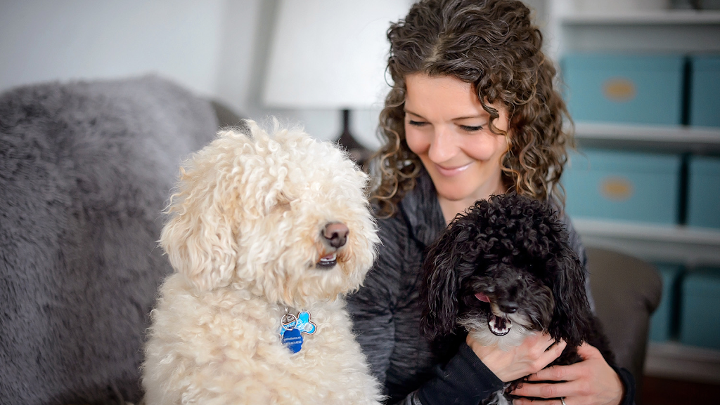 Pawz With Me | 347 West Ridge Dr, Stittsville, ON K2S 2G8, Canada | Phone: (613) 797-2694