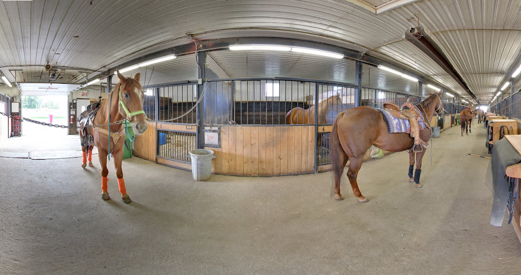 Ranch Anne-Marie Lussier | 865 Boulevard Saint-Luc, Saint-Jean-sur-Richelieu, QC J2W 2G6, Canada | Phone: (450) 349-5589