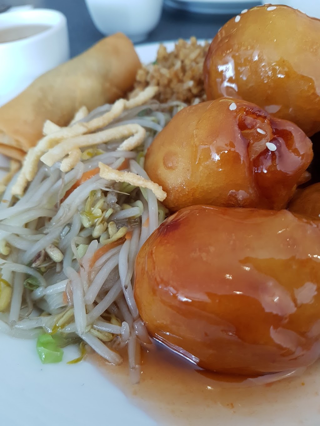 South Ocean Restaurant | 141 Scurfield Blvd #141, Winnipeg, MB R3Y 1L6, Canada | Phone: (204) 489-6661