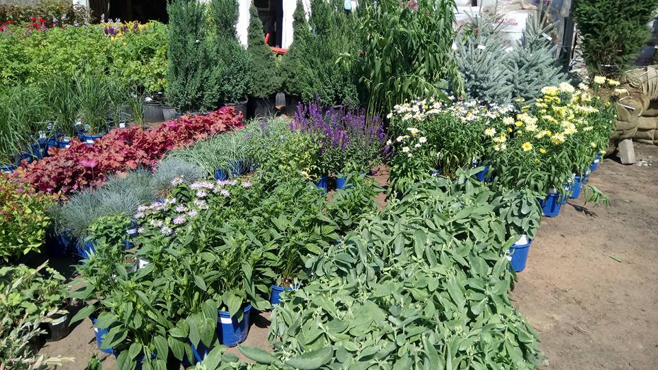Doirons Landscaping & Gardening Centre | 2 Day Ave, Charlottetown, PE C1E 0E5, Canada | Phone: (902) 368-1666