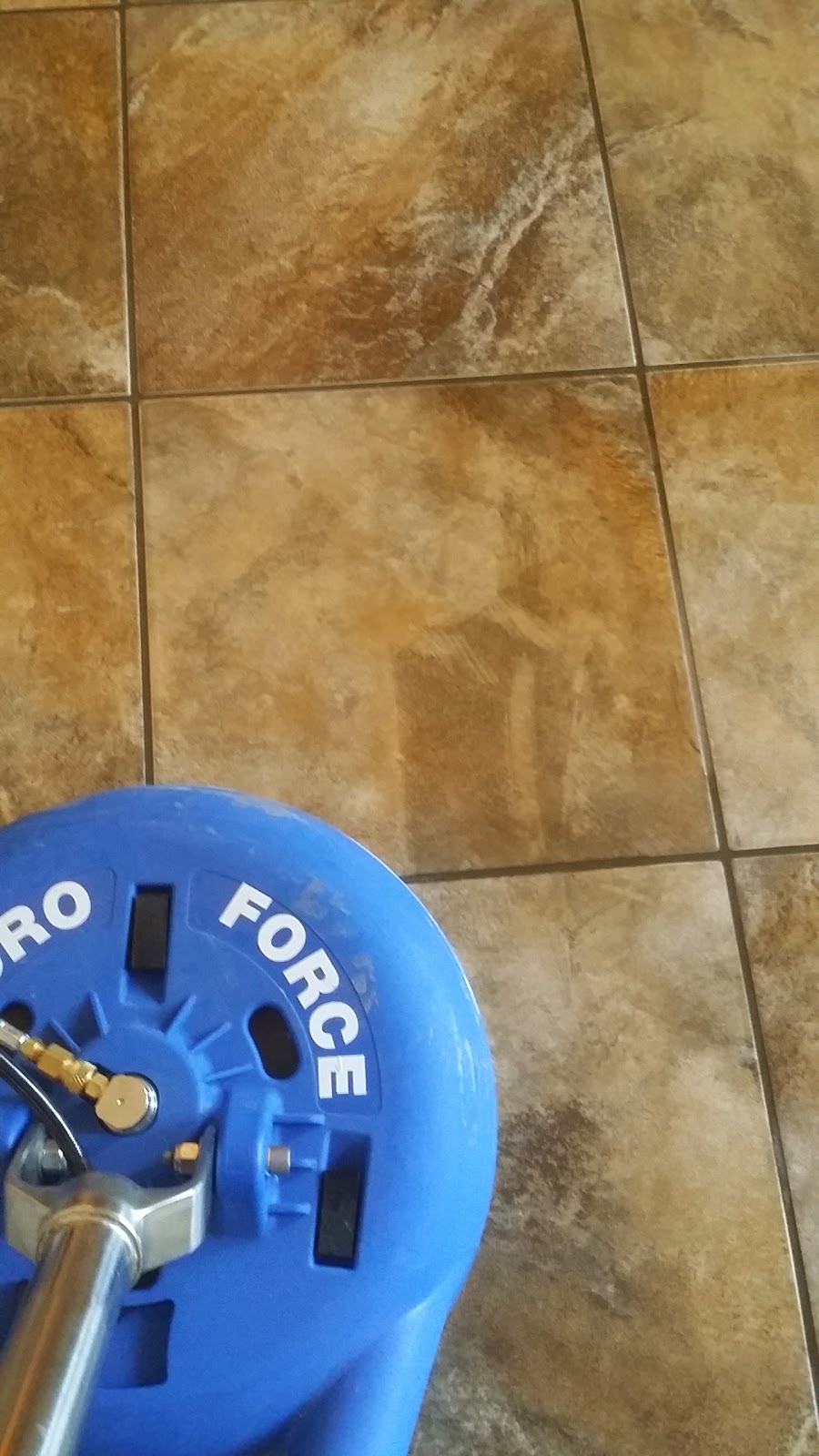 Ultimate Carpet Cleaning Saskatoon | 819 60 St E #2, Saskatoon, SK S7K 5Z7, Canada | Phone: (306) 262-2464