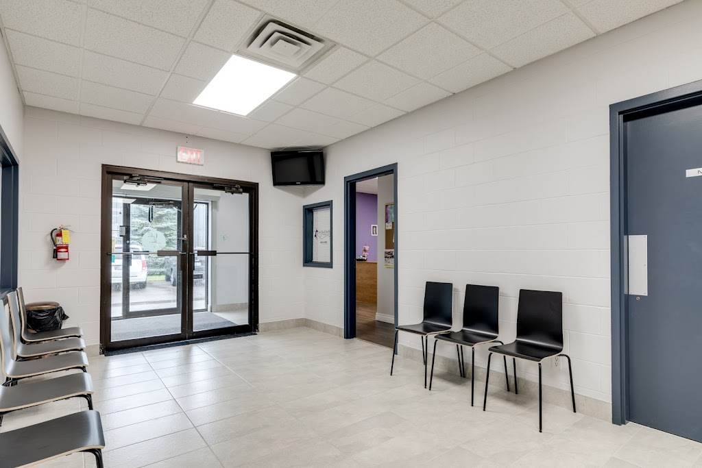 Not Just Another Dance Studio | 1412 Sandhill Dr unit c, Ancaster, ON L9G 4V5, Canada | Phone: (905) 529-9885