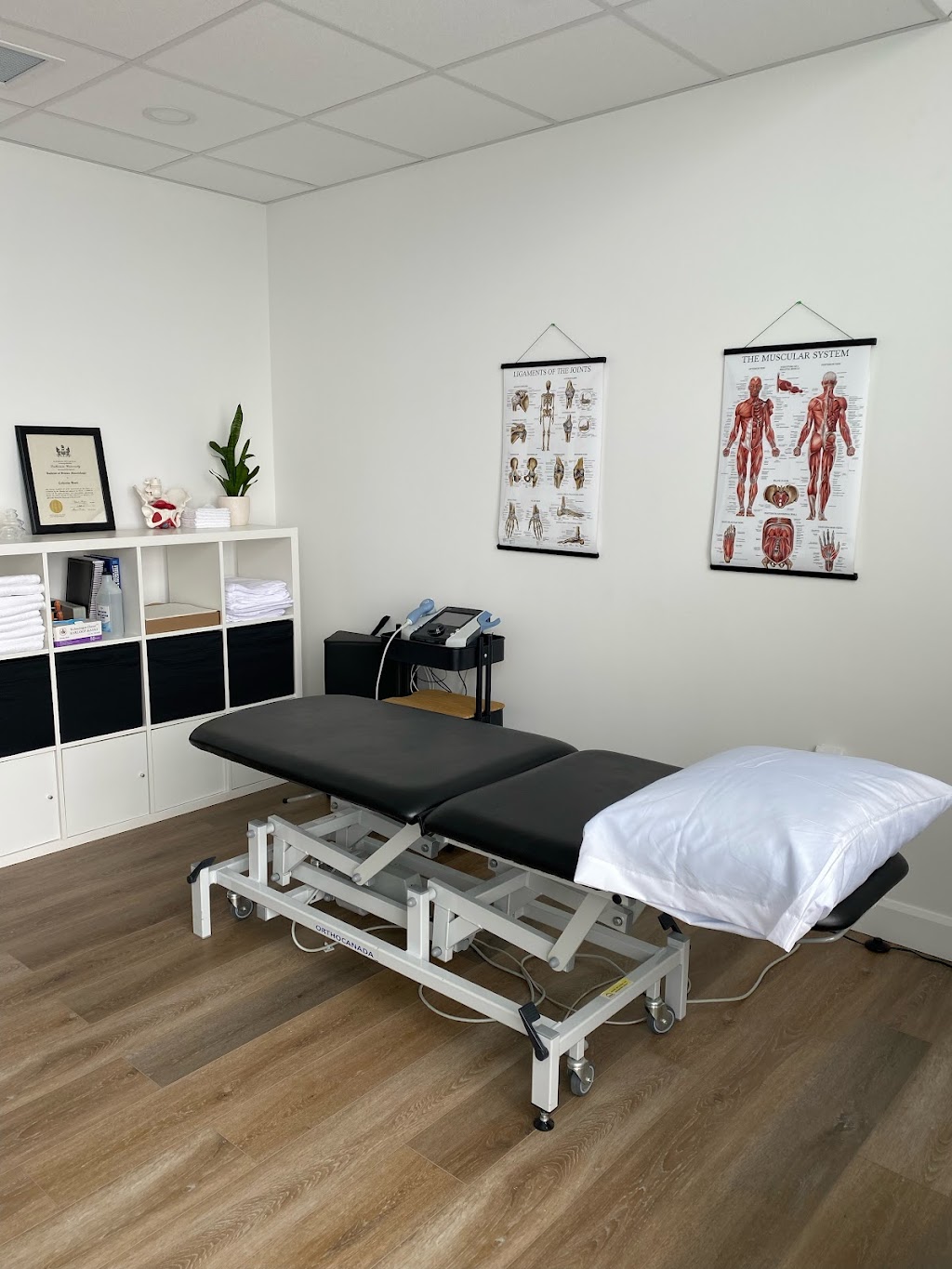 Pelvico Health Centre (Bedford) | 36 Duke St, Bedford, NS B4A 2Z5, Canada | Phone: (902) 332-8534