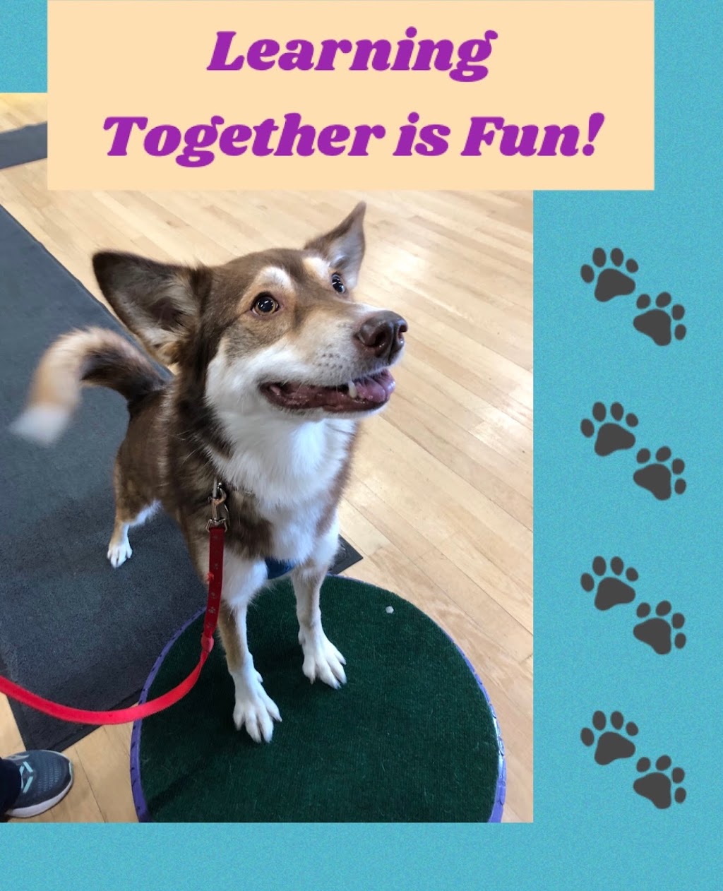 Fitz Your Dog Training, Family Dog Mediator ® | Box 544, 139 Strollway St, Winnipeg Beach, MB R0C 3G0, Canada | Phone: (204) 291-6723