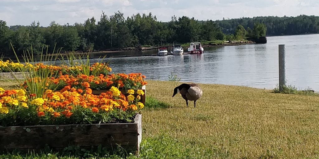 Beaubears Island | 35 St Patricks Dr, Miramichi, NB E1N 4P6, Canada | Phone: (506) 622-8526