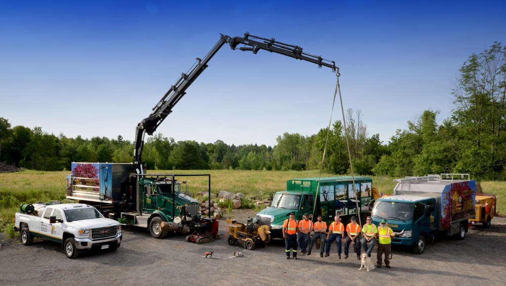 Able Tree Service Inc. | 27 Strandmore Cir, Whitby, ON L1M 0C1, Canada | Phone: (416) 283-3851