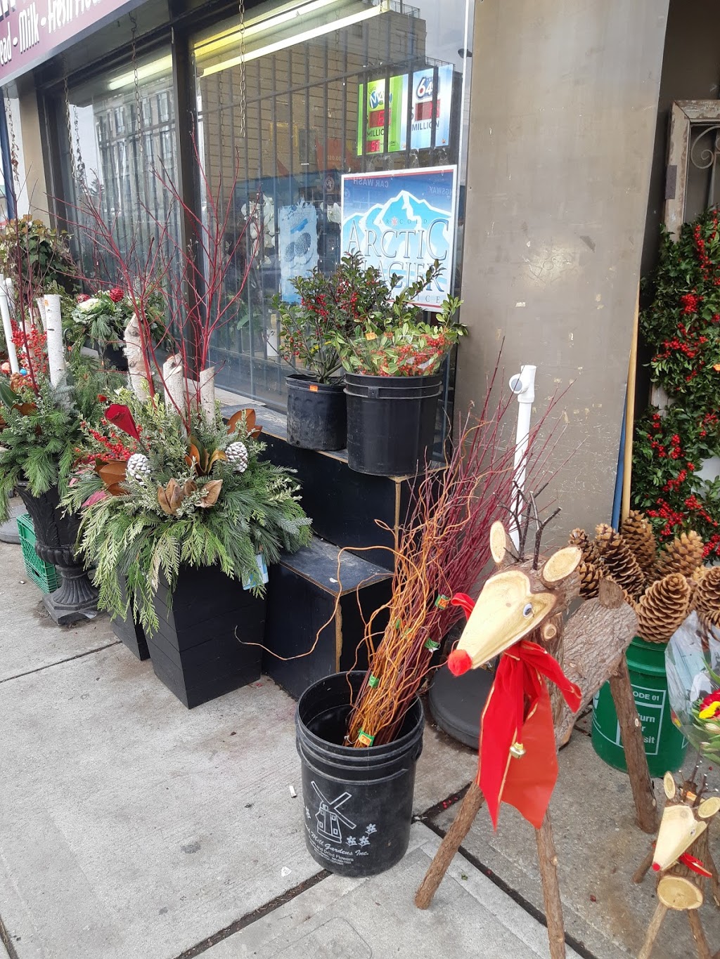 Kingsway Variety | 2992 Bloor St W, Etobicoke, ON M8X 1C2, Canada | Phone: (416) 233-2195