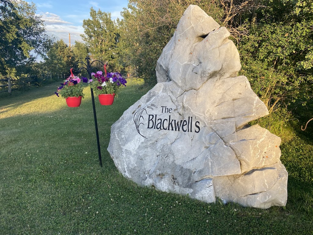 Blackwell Hay Farms | 50127 Township Rd 280, Alberta T4C 2X3, Canada | Phone: (403) 850-4395