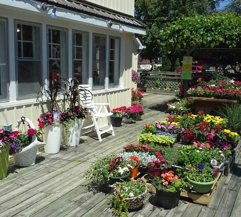 ROSEDALE MINI GARDENS AND DIANAS GIFTS**AT 21 FRANCIS ST WEST | Dianas Gift Shop & Rosedale Mini Gardens at, 21 Francis St W, Fenelon Falls, ON K0M 1N0, Canada | Phone: (416) 996-4615