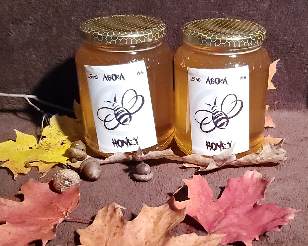 Agora Honey | 8080 511, Lanark, ON K0G 1K0, Canada | Phone: (613) 508-1250