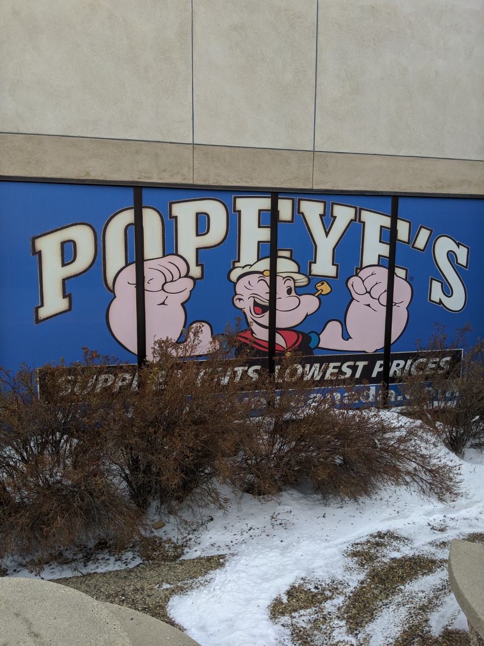Popeyes Supplements Regina East | 2591 Quance St, Regina, SK S4V 2Y8, Canada | Phone: (306) 352-3484