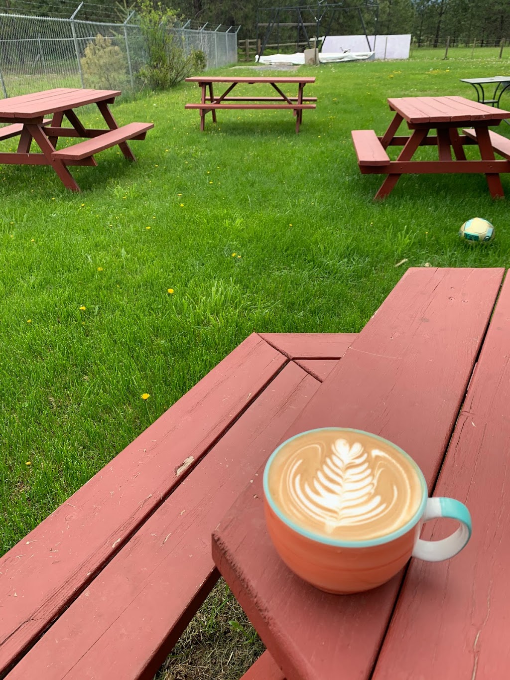 ecotreats | 3867 Squilax-Anglemont Rd, Scotch Creek, BC V0E 1M5, Canada | Phone: (250) 955-2228