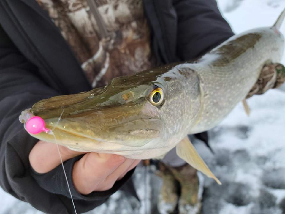 Les Leurres du Pêcheur / Luc Gagnon | 1657 Chem. des Pins, Trois-Rivières, QC G8W 2L4, Canada | Phone: (873) 255-4547