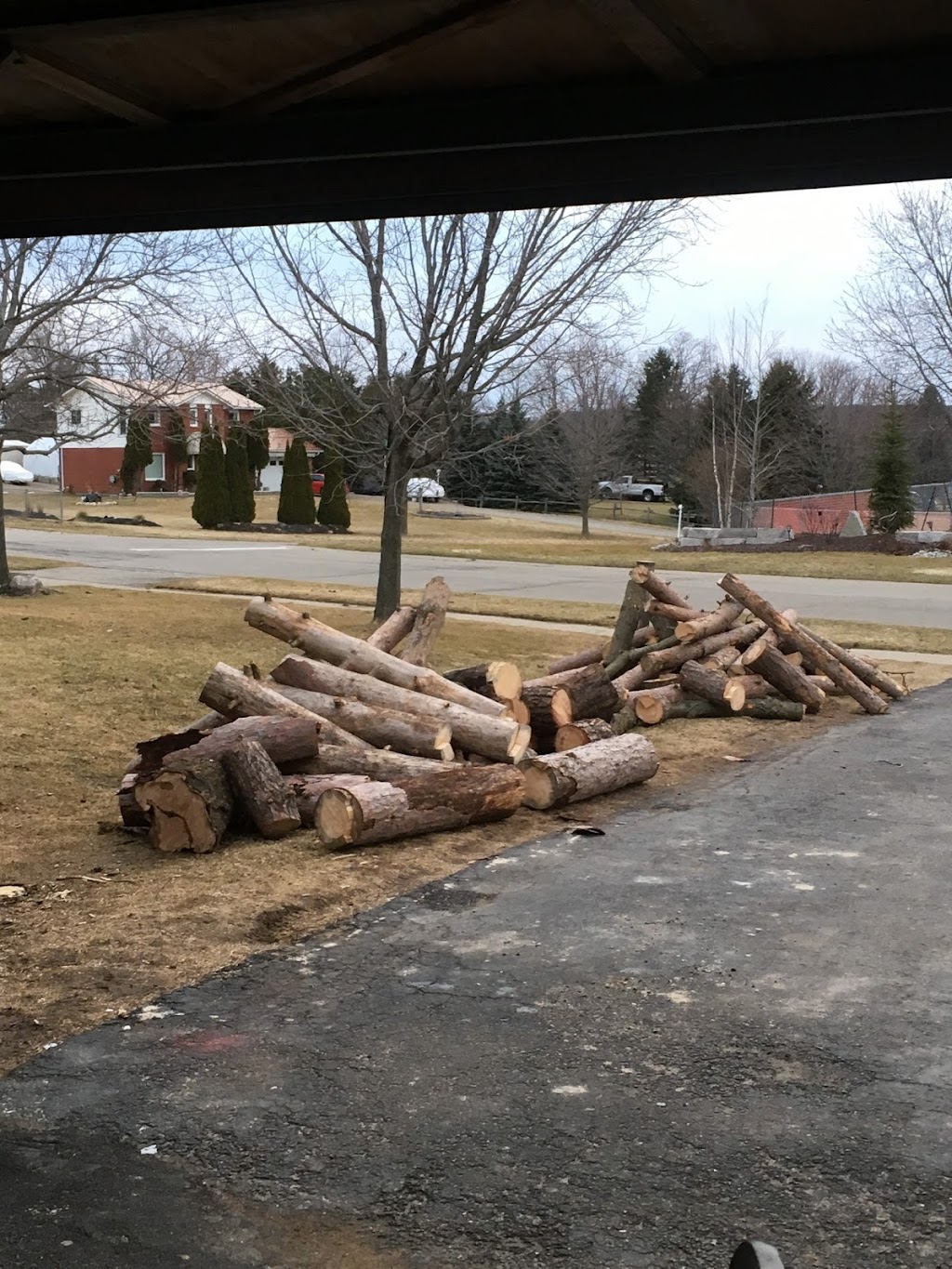Ultimate Tree Service | 15656 Kennedy Rd, Caledon Village, ON L7C 2H7, Canada | Phone: (905) 757-8733