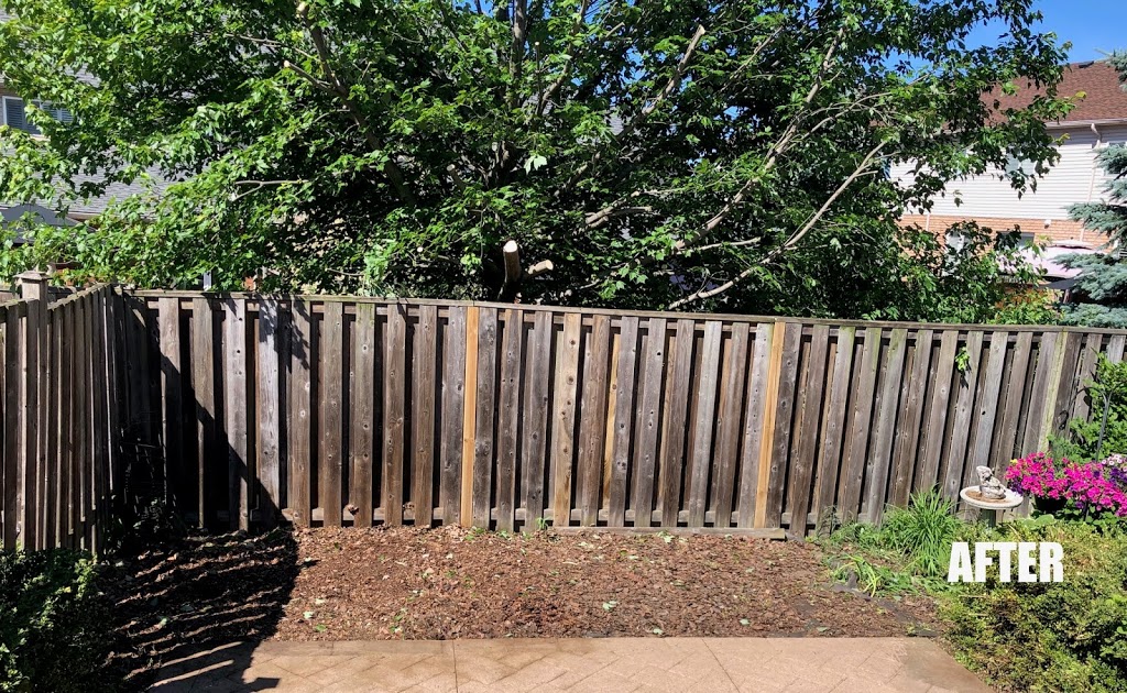 Amir Tree Services Inc. | 17 Baker Rd S, Grimsby, ON L3M 2W4, Canada | Phone: (647) 780-5234