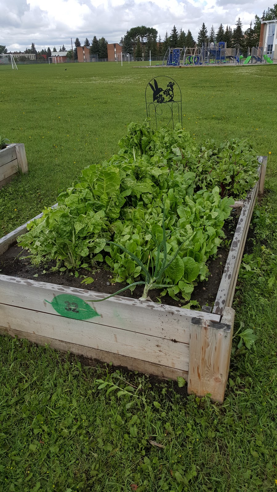 Acadia Community Garden and Art Society | 332 94 Ave SE, Calgary, AB T2J 0E8, Canada | Phone: (403) 800-8365