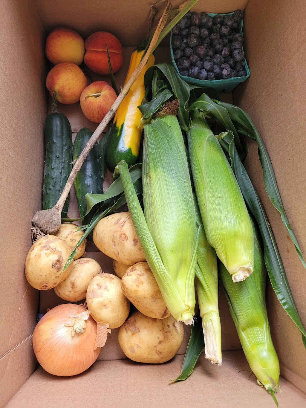 Simpson Family Farms | 15152 ON-48, Whitchurch-Stouffville, ON L4A 7X3, Canada | Phone: (905) 640-2657