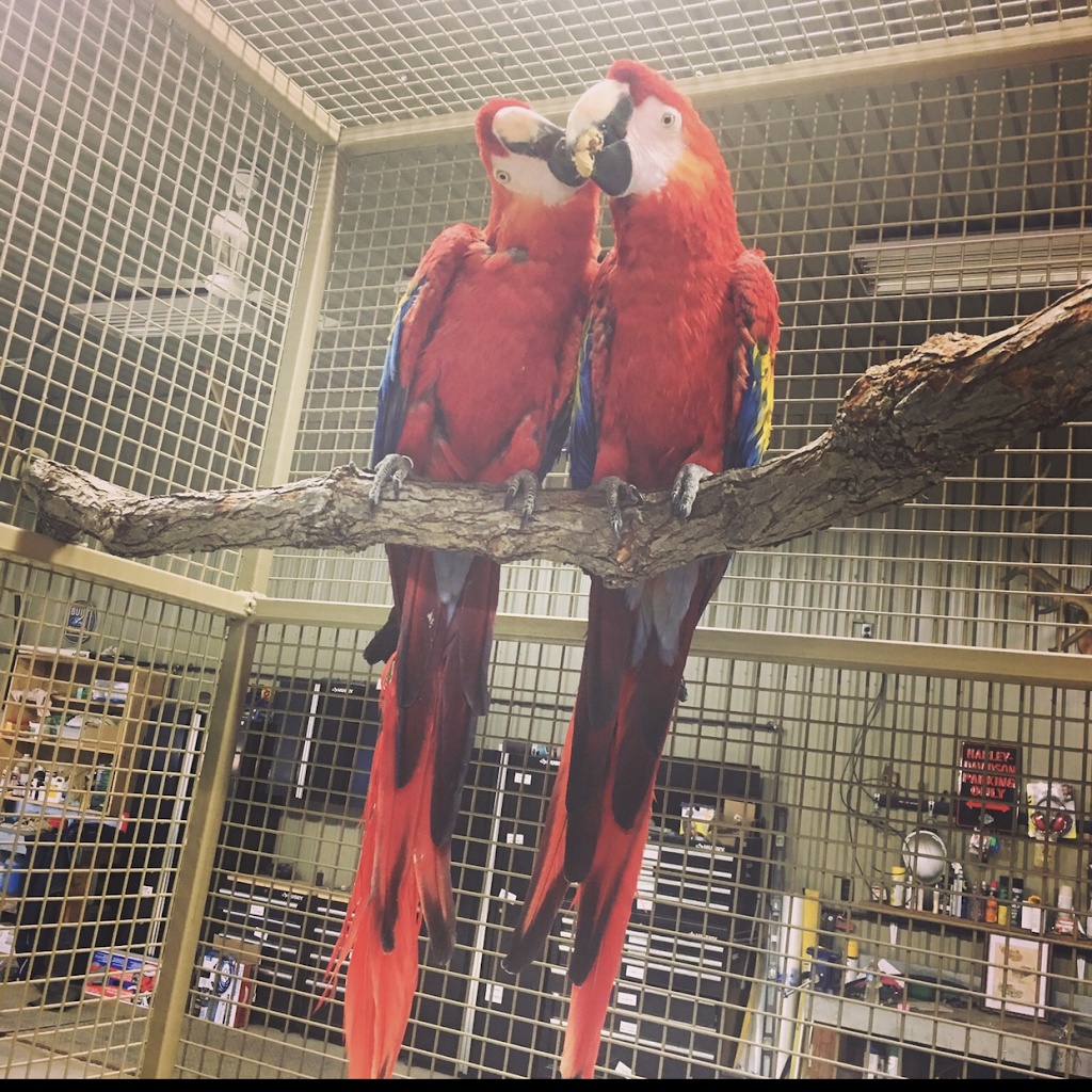 Feather Haven | 920 Concession 11 Townsend, Waterford, ON N0E 1Y0, Canada | Phone: (519) 427-7138