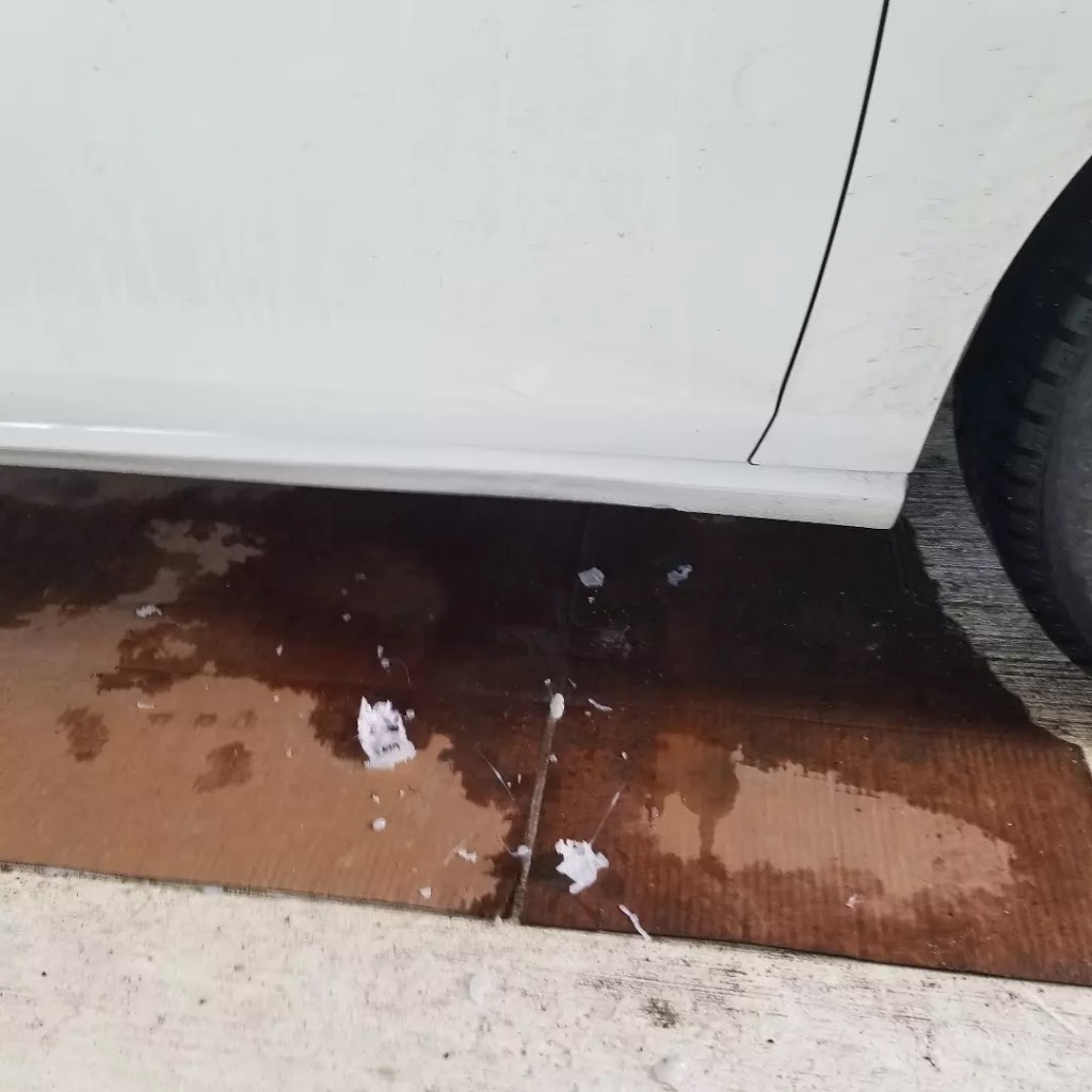 SALCO. Paintless Collision Repair LTD | 1015 Cedar Creek Dr, Ottawa, ON K1X 0G4, Canada | Phone: (613) 299-6002