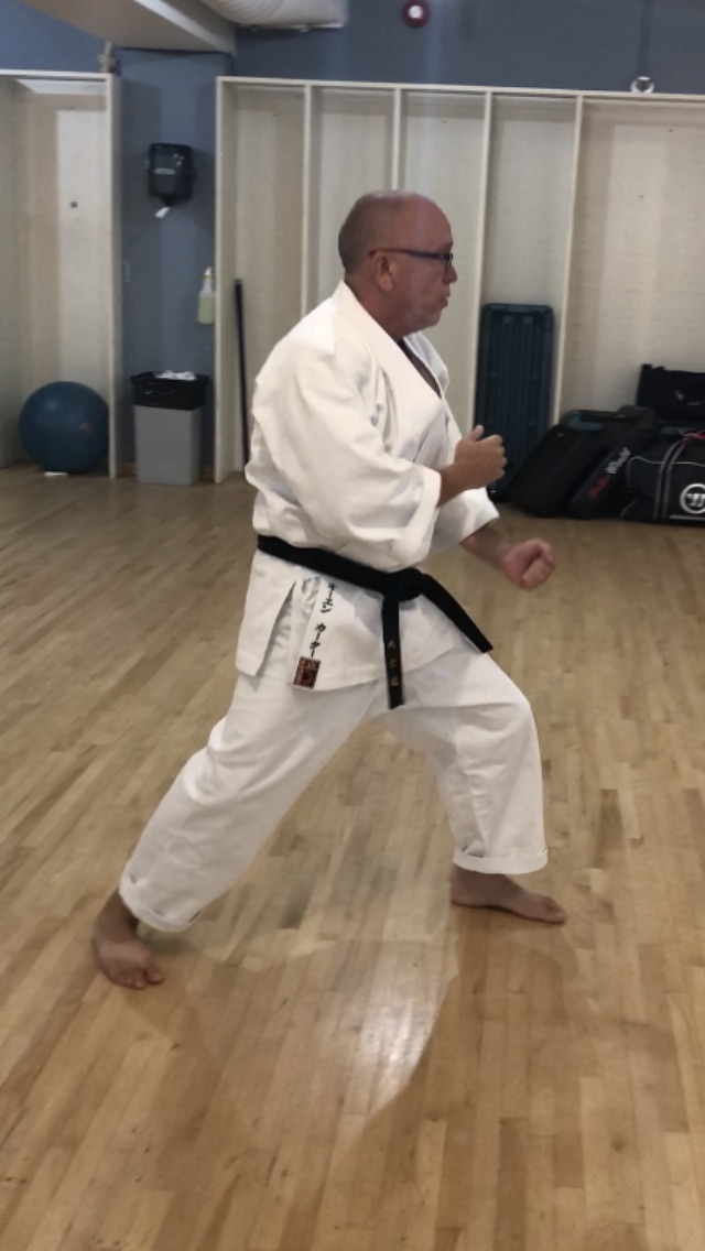 Shotokan Karate Hamilton | 1715 Main St E, Hamilton, ON L8H 1E3, Canada | Phone: (289) 828-4668