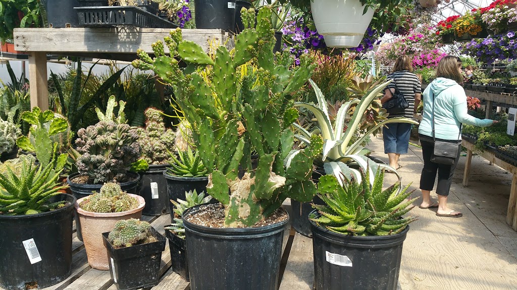 Cornell Design & Landscaping | 11 km South of on #2 HWY, Moose Jaw No. 161, SK S0H 0N0, Canada | Phone: (306) 693-8733