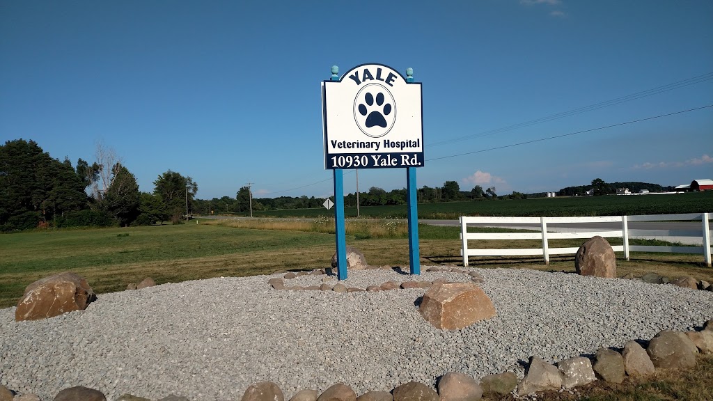 Yale Veterinary Hospital | 10930 Yale Rd, Brockway, MI 48097, USA | Phone: (810) 387-4370