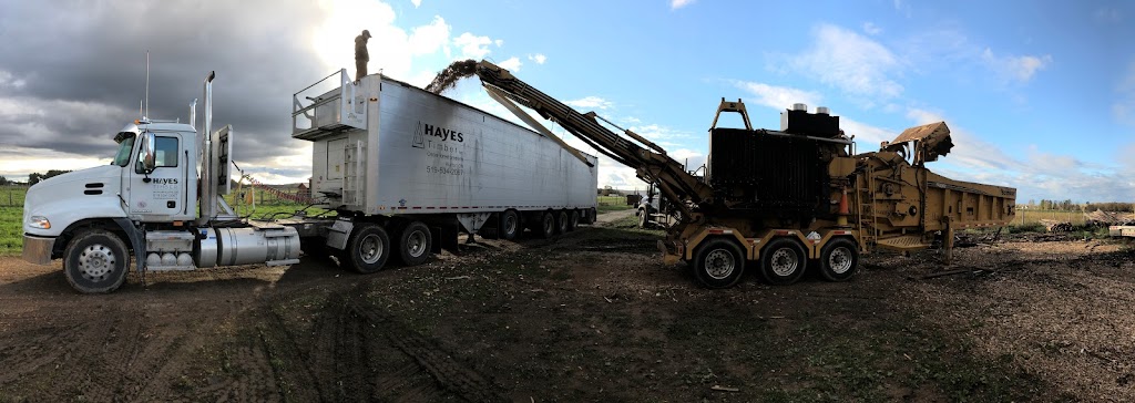 Hayes Timber Inc. | 7 N Diagonal, Hepworth, ON N0H 1P0, Canada | Phone: (519) 534-2067