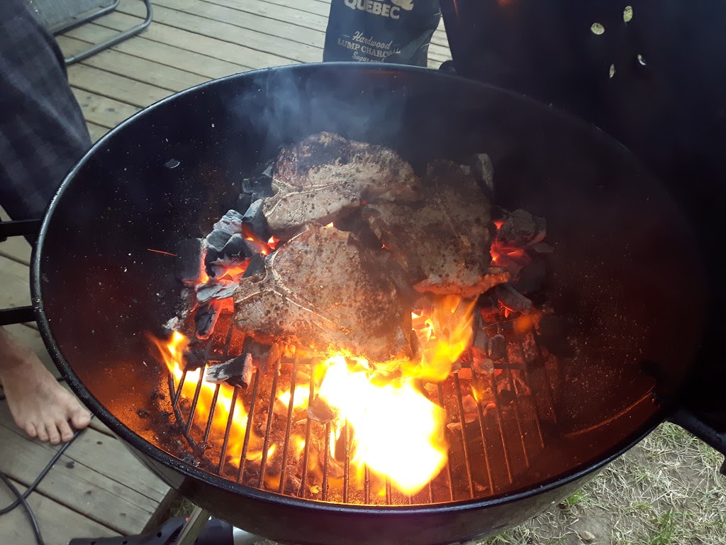 Camping de la Montagne DArgent | 1321 Rue de la Montagne dArgent, La Conception, QC J0T 1M0, Canada | Phone: (819) 686-5207