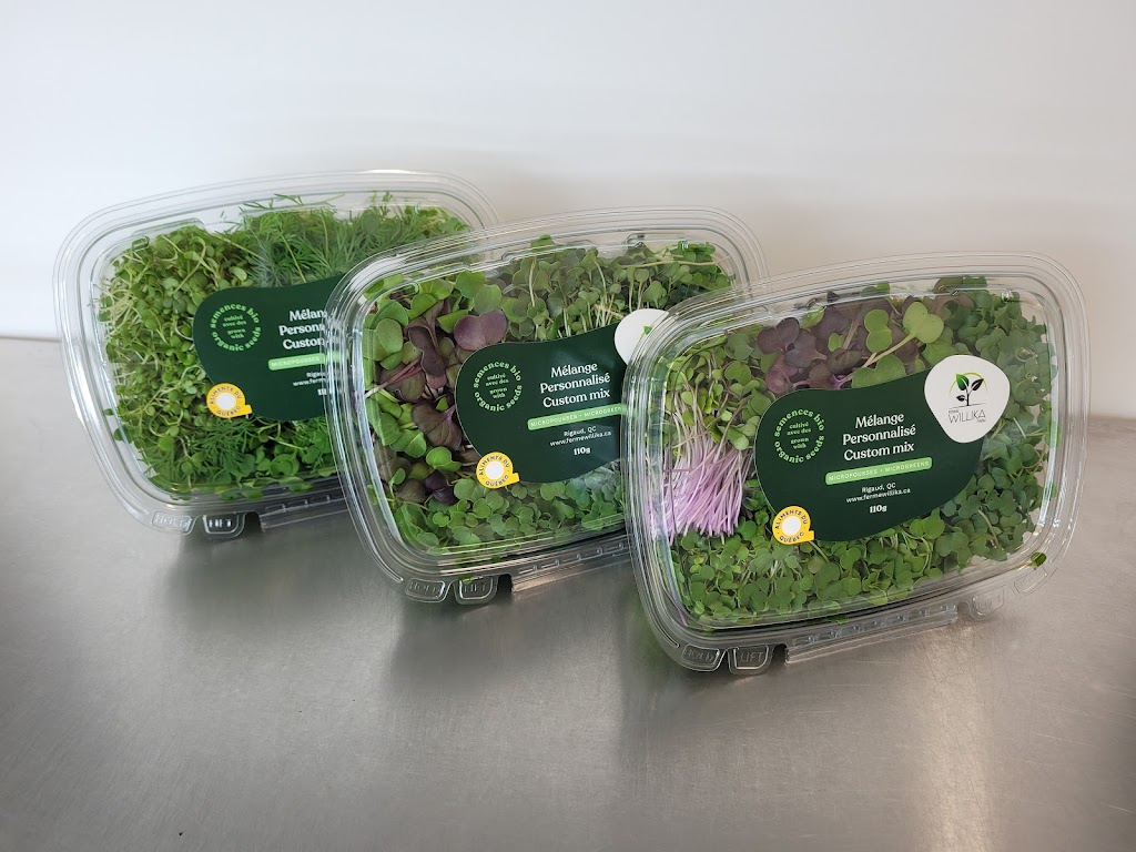 Ferme Willika inc. | 63 Chem. des Prés, Rigaud, QC J0P 1P0, Canada | Phone: (514) 880-2742