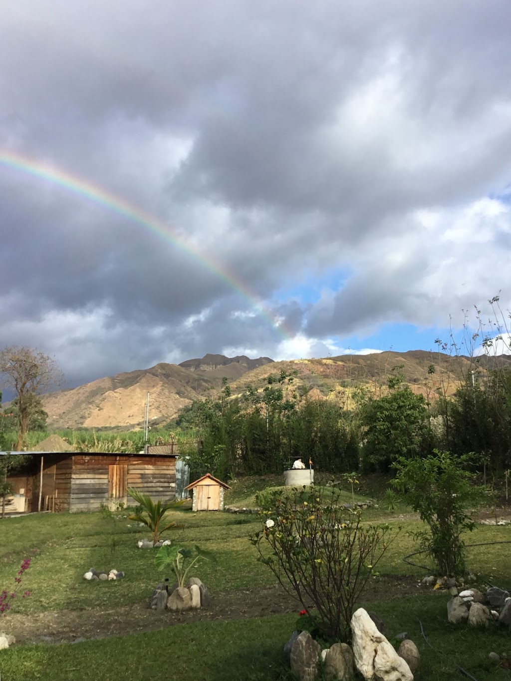 Indigo Wellness and Yoga - Wendy Allan | 4174 Crozier Rd, Armstrong, BC V0E 1B6, Canada