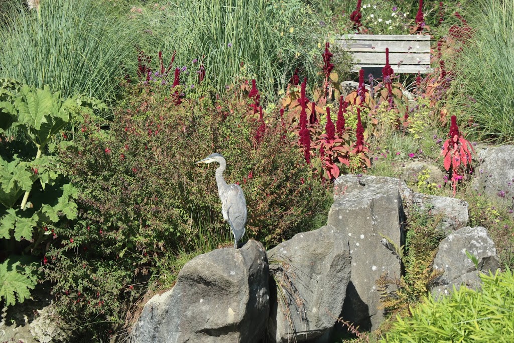 Livingstone Lake | 5251 Oak St, Vancouver, BC V6M 4H1, Canada