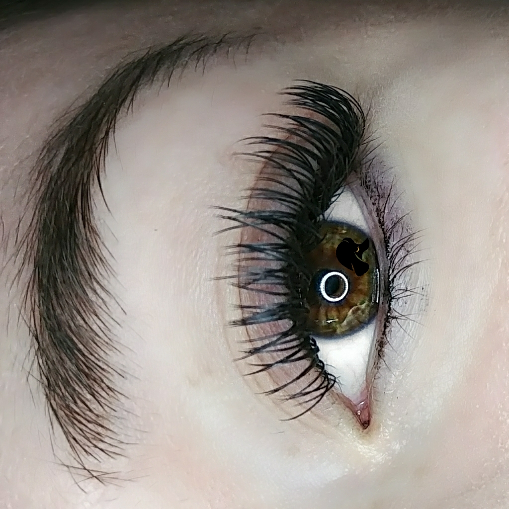 Centre Wellington Lash Co. | Fergus, ON N1M 1W6, Canada | Phone: (519) 831-5421