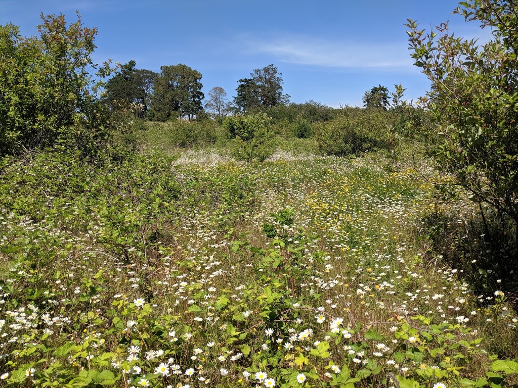 Panama Flats | Roy Rd, Victoria, BC V8Z 2T7, Canada | Phone: (778) 922-0749
