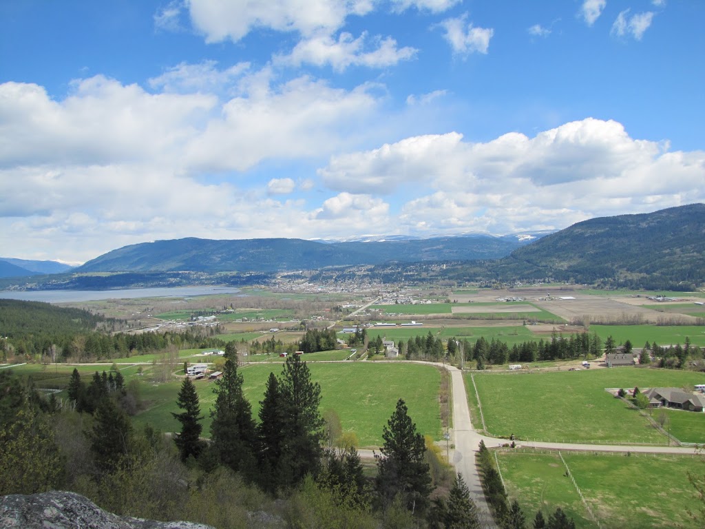 Cosens Team- Sothebys International Realty Canada | 730 9th Ave NE, Salmon Arm, BC V1E 4A1, Canada | Phone: (250) 833-5372