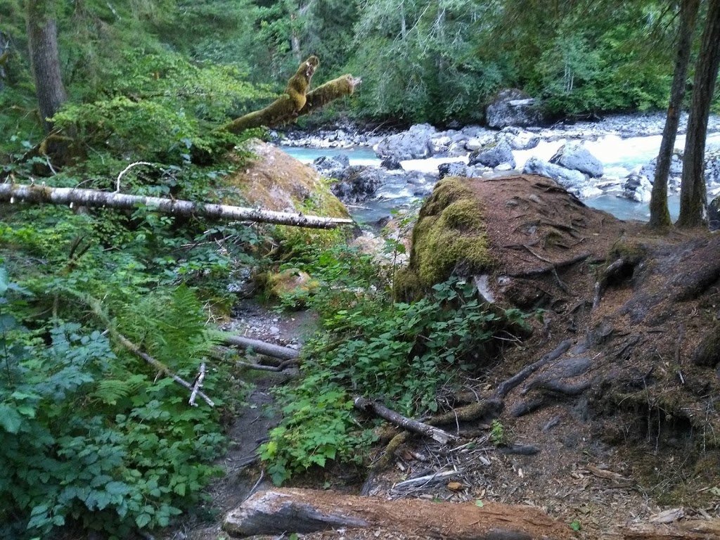 Snowline Inn | 10433 Mt Baker Hwy, Deming, WA 98244, USA | Phone: (360) 599-3175