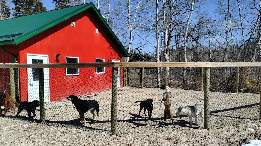 SMART Dogs | 14059 E Komarno Rd, Winnipeg Beach, MB R0C 3B0, Canada | Phone: (204) 793-3575