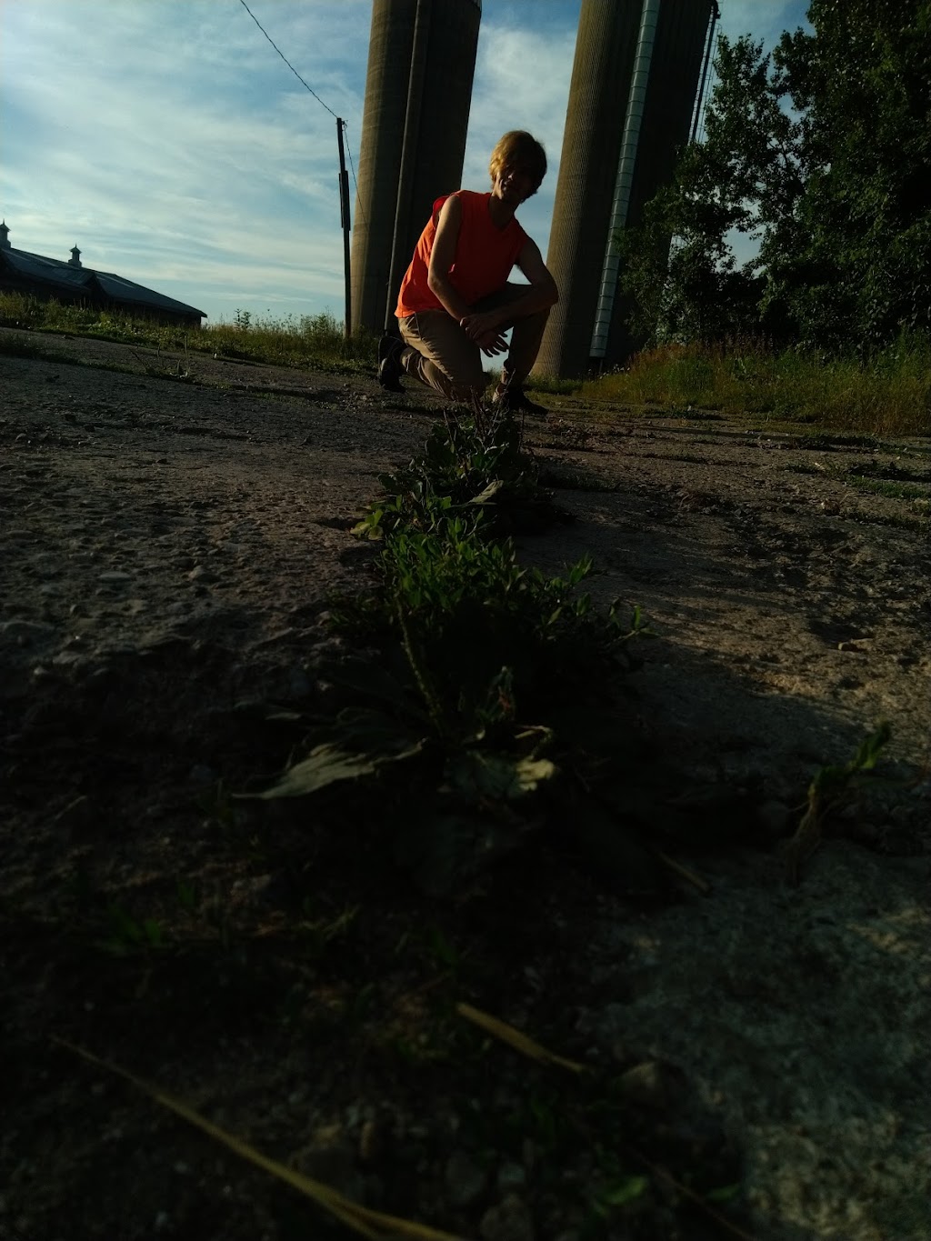 Malcolm Excavating | 385432 Hwy 59 PO Box 179, Burgessville, ON N0J 1C0, Canada | Phone: (519) 424-5000