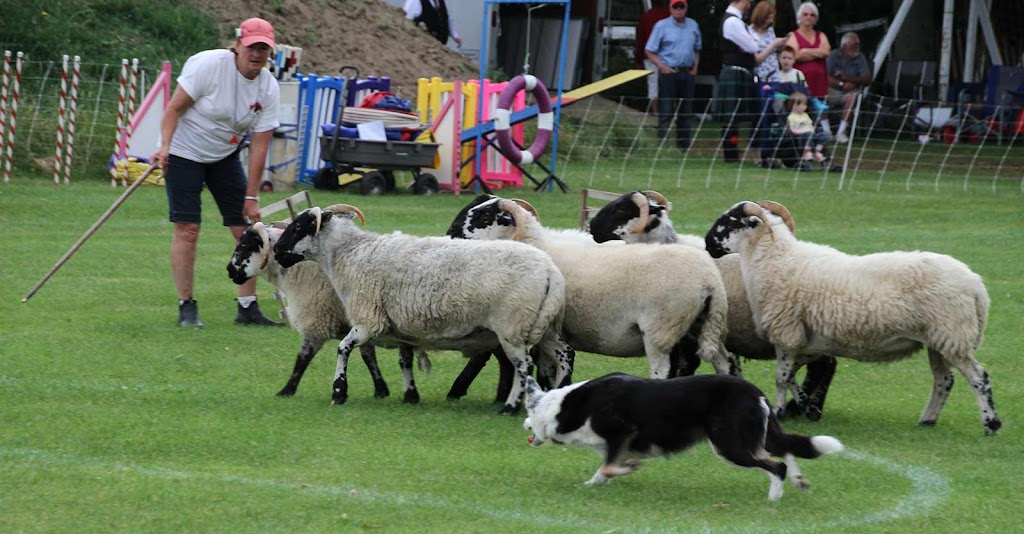 Embro Highland Games | 355644 35th Line, Embro, ON N0J 1J0, Canada | Phone: (289) 501-4411