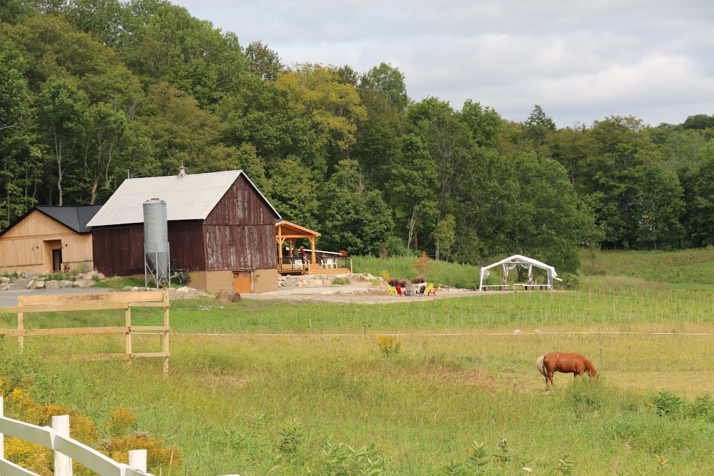 Vignoble de Chelsea | 1582 Rte 105, Chelsea, QC J9B 1P4, Canada | Phone: (819) 866-3006