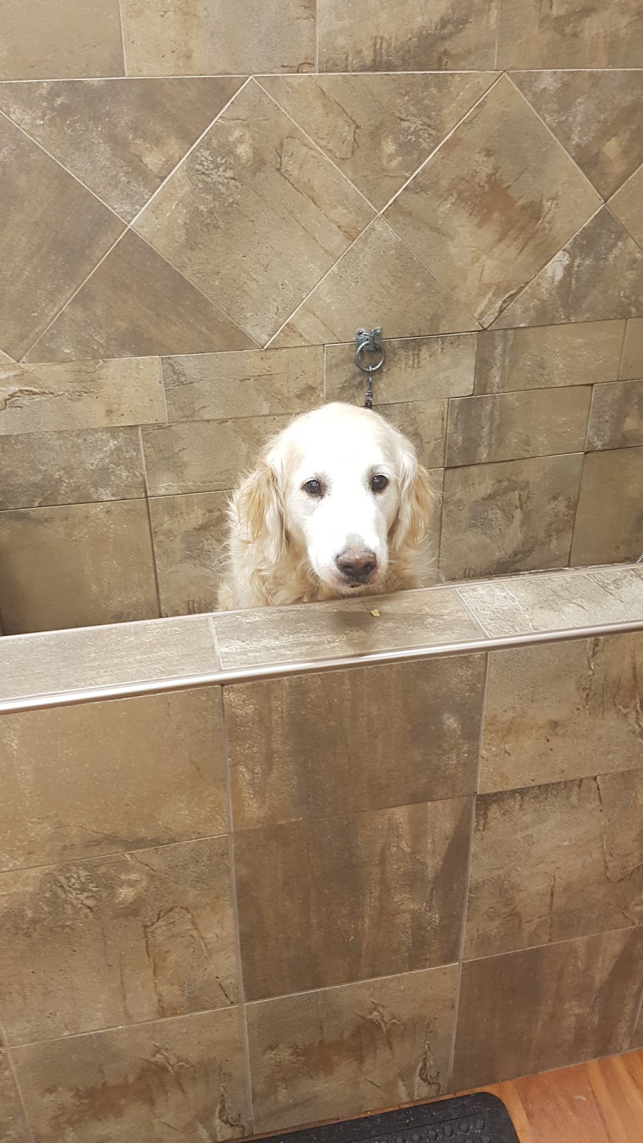 Pet Valu | 99 Balsam St #1, Collingwood, ON L9Y 3Y6, Canada | Phone: (705) 444-1767