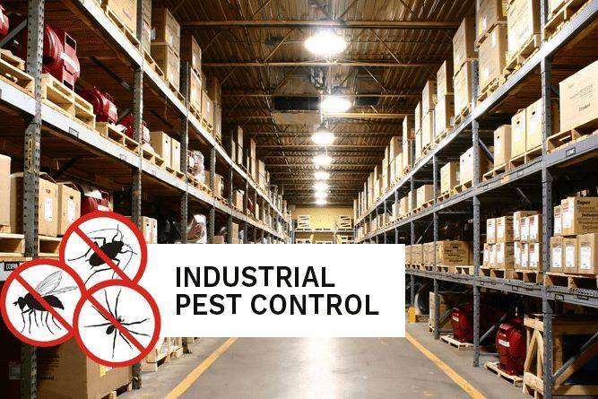 AR Pest Control Milton | 95 Locker Place, Milton, ON L9E 1E8, Canada | Phone: (855) 670-7378