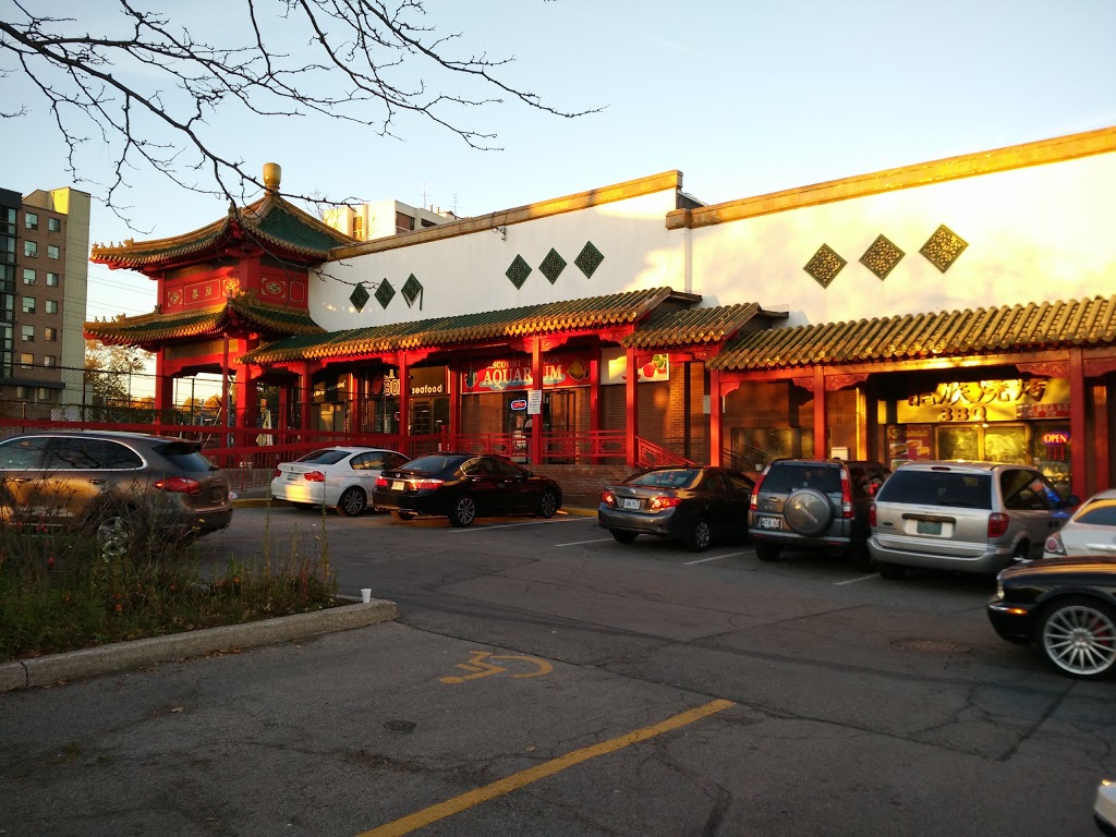 Discount Dragon Aquarium | 888 Dundas St E, Mississauga, ON L4Y 4G6, Canada | Phone: (905) 306-7127