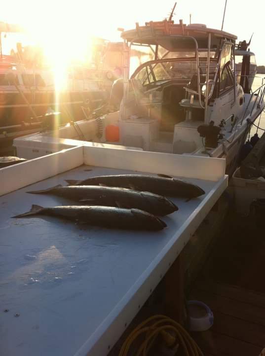 No Limit Fishing Charters | 661 Southwood Dr, Victoria, BC V9B 6R9, Canada | Phone: (250) 888-2277