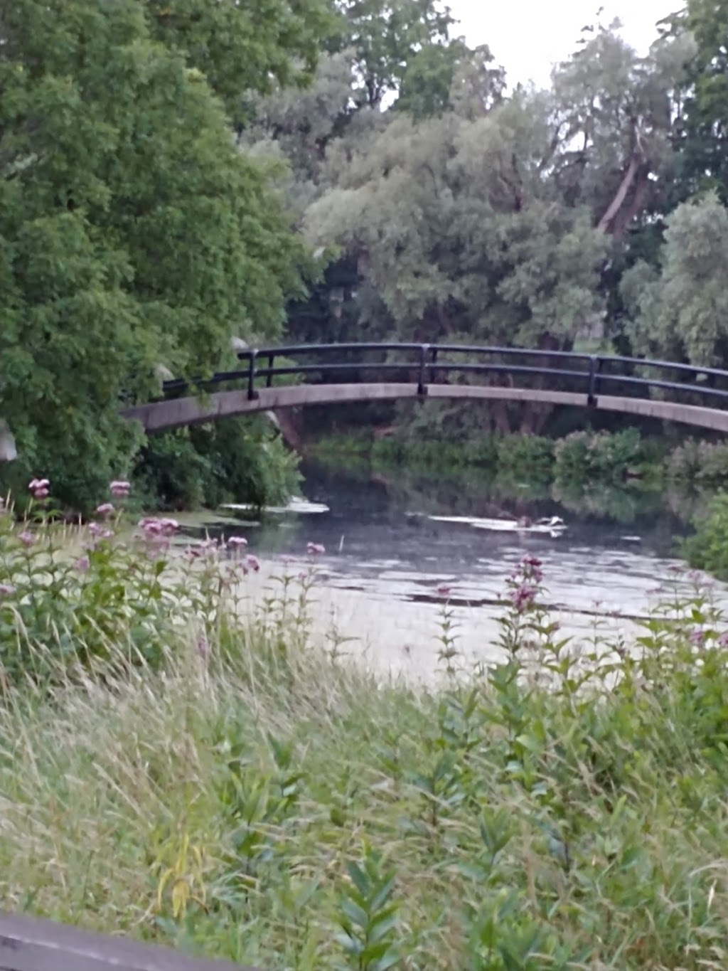 MacNaughton Park and Nature Trail | 56 Hill St, Exeter, ON N0M 1S1, Canada