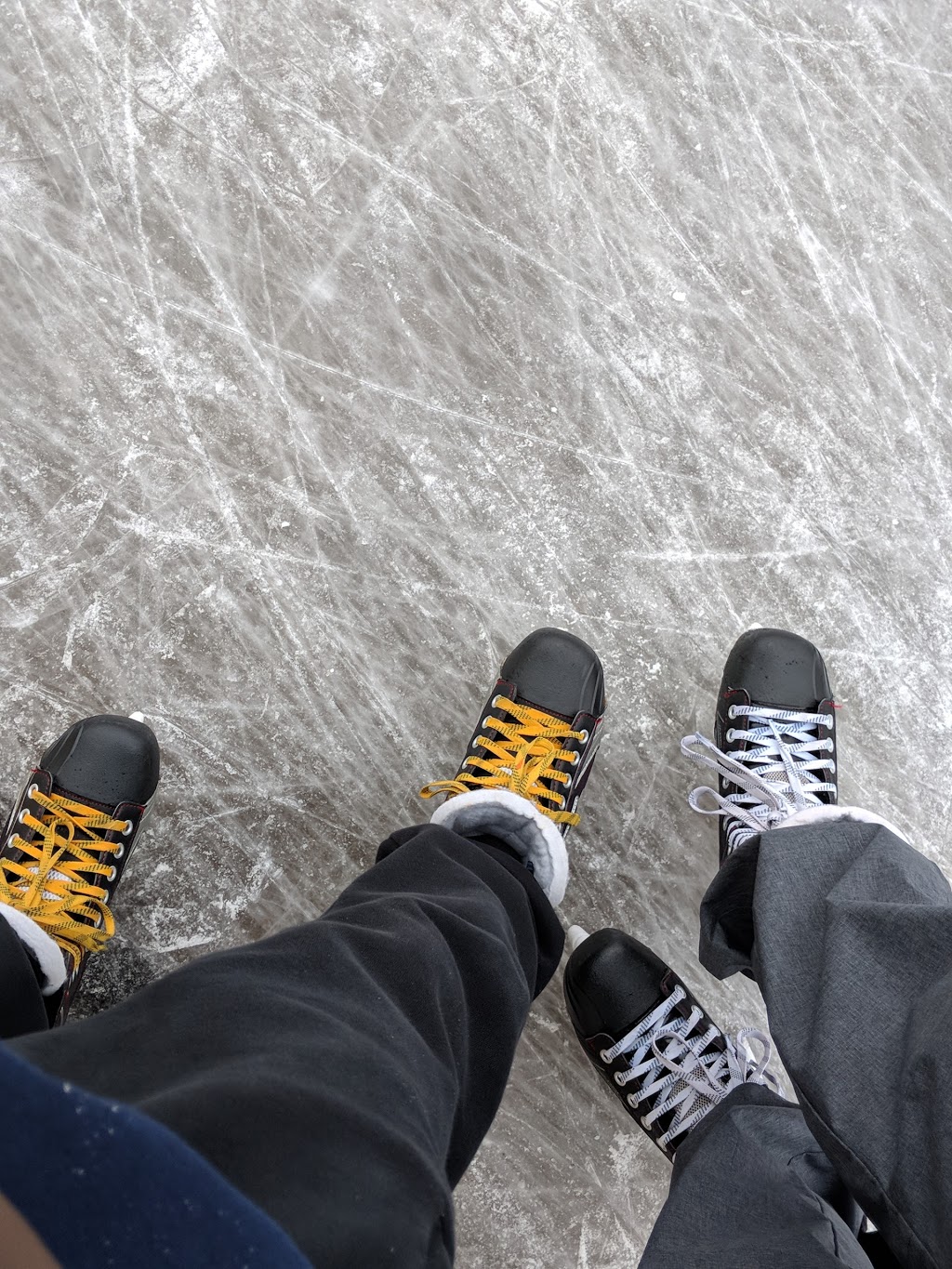 Glen Long Rink | 35 Glen Long Ave, North York, ON M6B 2M1, Canada
