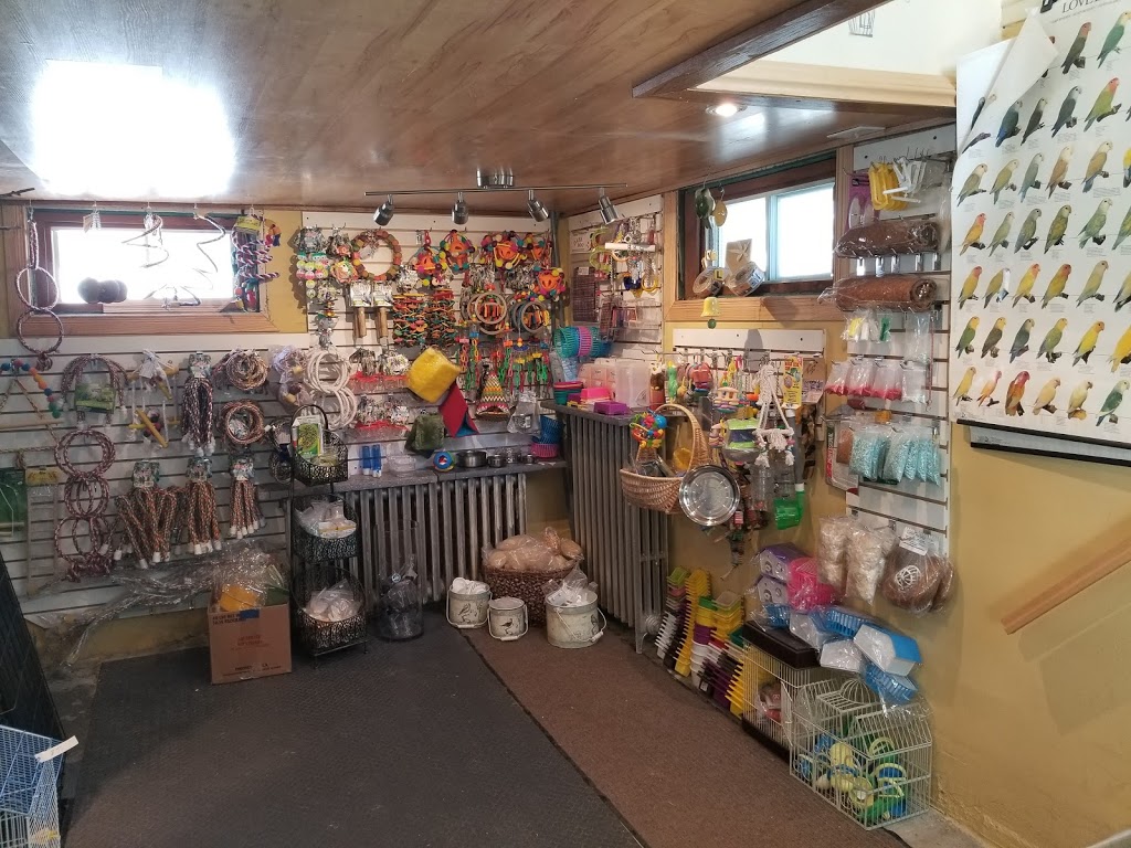 Sudbury BIRD House | 166 St Joseph St, Sudbury, ON P3B 2R1, Canada | Phone: (705) 677-8932