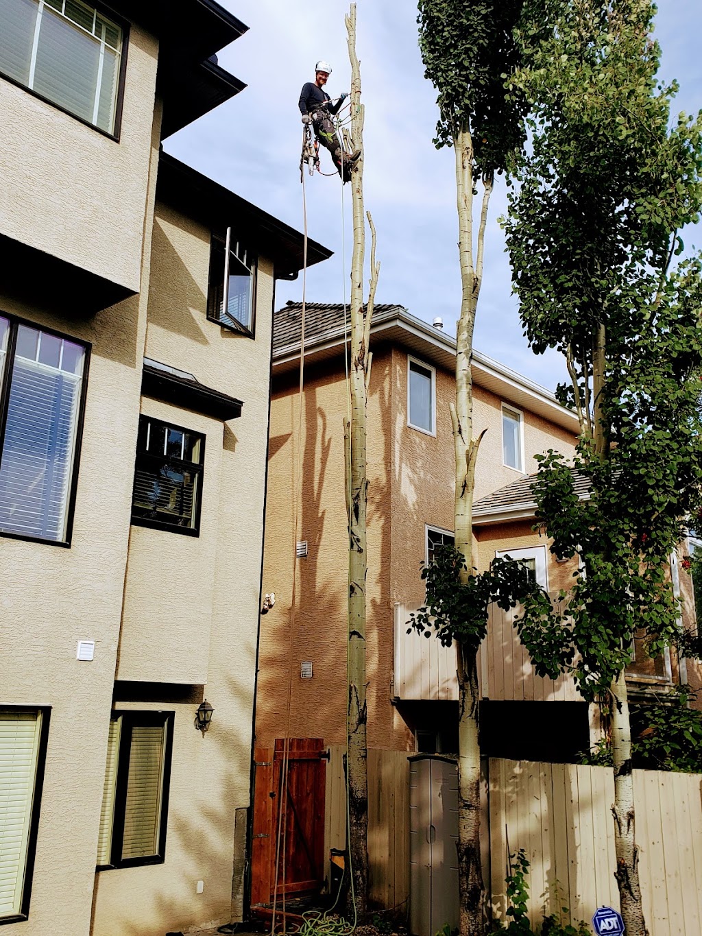 Prairie Woodlands Tree Care Ltd. | 264098, Range Rd 13, Airdrie, AB T4B 5B7, Canada | Phone: (587) 600-8936