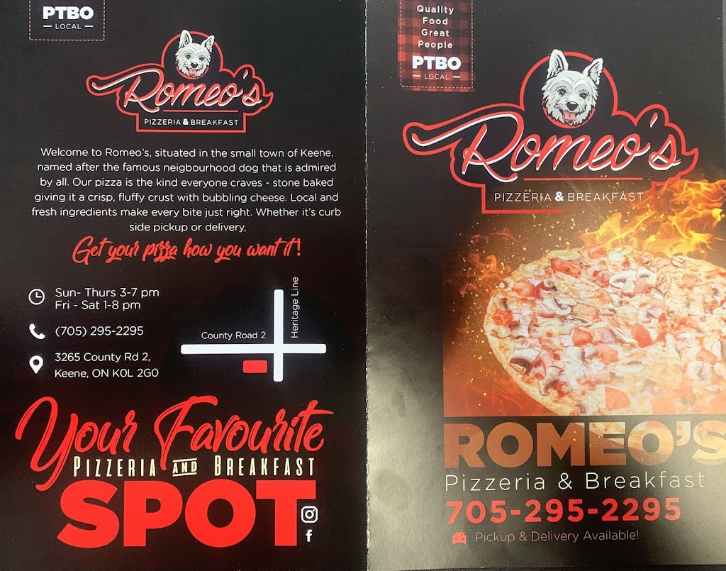 Romeos Pizzeria | 3265 County Rd 2, Keene, ON K0L 2G0, Canada | Phone: (705) 295-2295