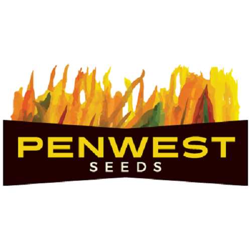 Penwest Seeds - Wheat Seed Alberta | 1307 6 Ave N, Three Hills, AB T0M 2A0, Canada | Phone: (403) 443-2577